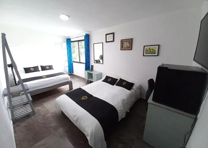 Rch Suite